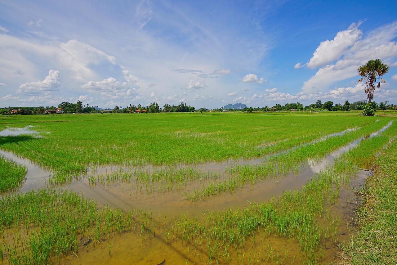 Abisabi Homestay Kangar Buitenkant foto